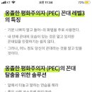 써니앤