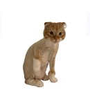 묘미호 | [평택/송탄] 고양이 무마취 미용&amp;목욕 "묘미호"