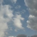 포그니유치원 이미지