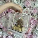 댕댕이네 | 천안 강아지 수제 케이크 댕댕이네 방문 후기 내돈내산 제작 케이크