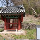 유희원 효자문 이미지