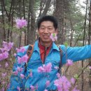 최백균카랜드 Daum카페