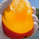 미담(MIDAM) 이미지