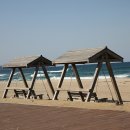 망상오토캠핑리조트 이미지