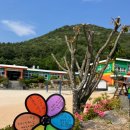 [초1~2(16~15년생)] 그림책 문해력 책놀이 | 2학년 1반/AI시대 깊이 있는 학습, 문해력 수업) /김해 지혜의바다도서관 공모사업-'오픈 책 출판' 선정