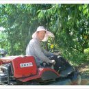 신필농장 이미지