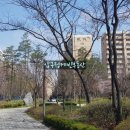 압구정-127 이미지