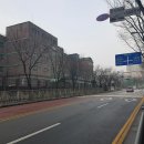 용호초등학교사거리 이미지