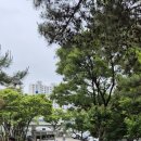 성곡중학교 이미지