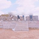 캣앤독동물병원 | [2024-04] 내가 더 행복해지길 바래