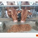 상훈축사 이미지