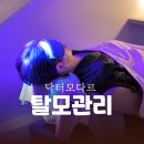 UR(파주시)-[교하로]-상-40 | 운정탈모관리 고민하다 찾은 닥터모다르 후기 두피 진단부터 맞춤케어까지 추천