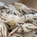 버터앤베이글