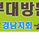 대주관광여행사 이미지