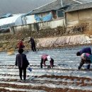 장서경로당 이미지