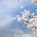 구로-고척-구로-2015 네이버블로그