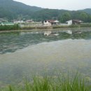 별무인모텔 이미지