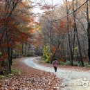 겨울산사에서 시인을 만나다.곡성 태안사 이미지