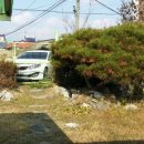 안서목장 이미지