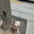 샘터목장 | 앞으로만 가려고 애를 쓰다 보면 당연한 걸 잊게 되는 법-