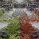 동물들의세상 이미지