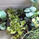 분토농장 이미지