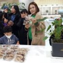 국립부여박물관 전시실 이미지