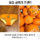 (주)정산 이미지