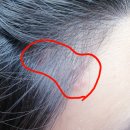 소망의원 옆 이미지