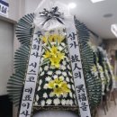 꽃;그린피아