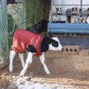 순영목장 이미지