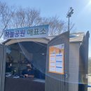 양떼마트 이미지