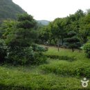 고산자연휴양림 이미지