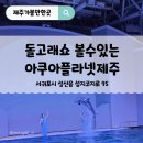 간지수족관 | 아쿠아플라넷 제주 비오는날 돌고래 공연까지 알차게, 입장료 할인