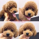 괴정3동-3 이미지