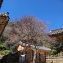 도토리농장 이미지