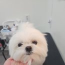 송내동1 이미지