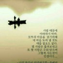 멍청이들의 넋두리 - 터질거예요/ 길가에 앉아서 - 김세환 노래 이미지