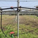 천정농장 이미지