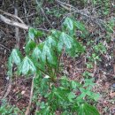 강화농장 이미지