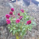 한림정역 이미지