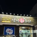 포항 맛집 양덕 참가자미 양덕 회 수산