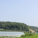 최용순농장 이미지