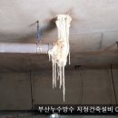 동온아쿠아 이미지