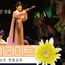 화이라이트