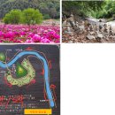 25.07.13(일) 07시 홍천공작산 및 수타사 산소길(887m) 이미지