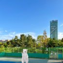 조암 공공하수처리장 테니스장 | 용인아르피아테니스장 | 용인 죽전 테니스장 가는 법, 주차, 예약 등