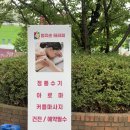 엄지손테라피