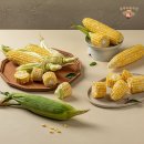 준푸드 이미지