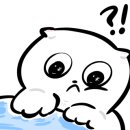 노랑강정 포일점 이미지